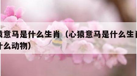 心猿意马是什么生肖（心猿意马是什么生肖也是什么动物）