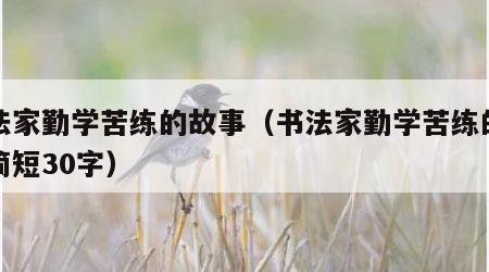 书法家勤学苦练的故事（书法家勤学苦练的故事简短30字）