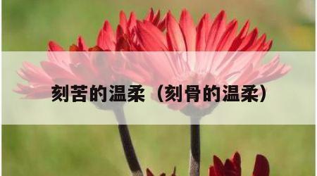 刻苦的温柔（刻骨的温柔）