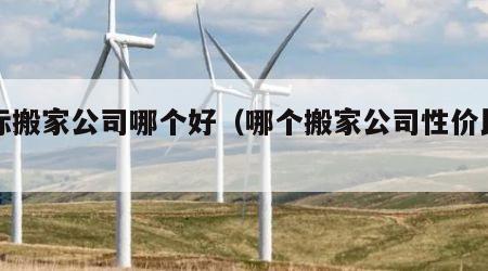 国际搬家公司哪个好（哪个搬家公司性价比最高）