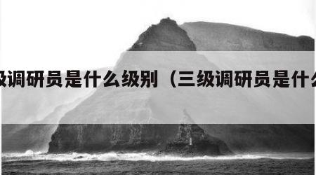 四级调研员是什么级别（三级调研员是什么级别）