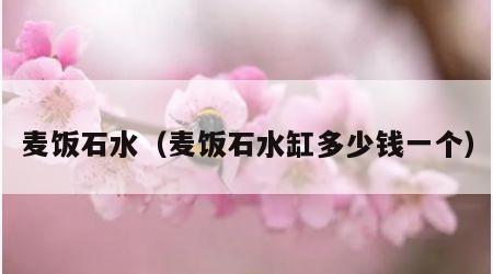 麦饭石水（麦饭石水缸多少钱一个）