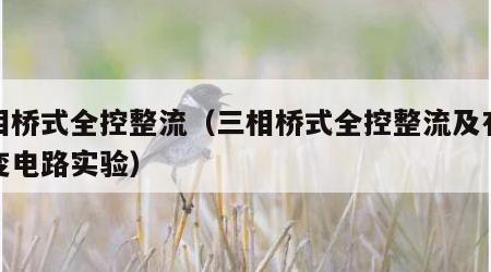 三相桥式全控整流（三相桥式全控整流及有源逆变电路实验）