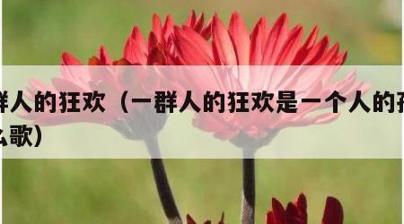一群人的狂欢（一群人的狂欢是一个人的孤单什么歌）