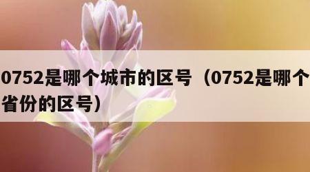 0752是哪个城市的区号（0752是哪个省份的区号）