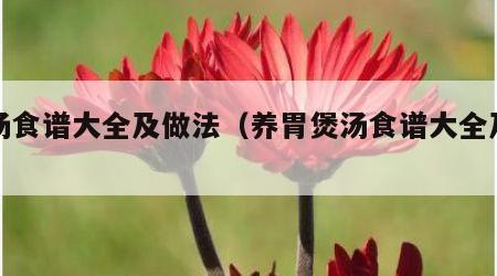 煲汤食谱大全及做法（养胃煲汤食谱大全及做法）