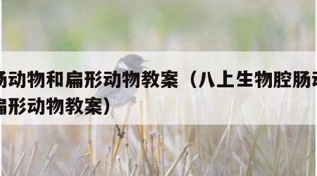 腔肠动物和扁形动物教案（八上生物腔肠动物和扁形动物教案）