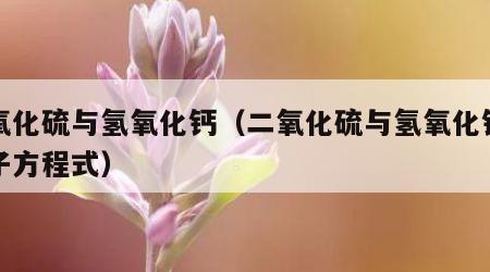 二氧化硫与氢氧化钙（二氧化硫与氢氧化钙的离子方程式）