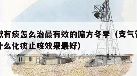 咳嗽有痰怎么治最有效的偏方冬季（支气管炎吃什么化痰止咳效果最好）
