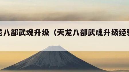 天龙八部武魂升级（天龙八部武魂升级经验表）