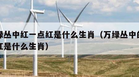 万绿丛中红一点红是什么生肖（万绿丛中的一点红是什么生肖）