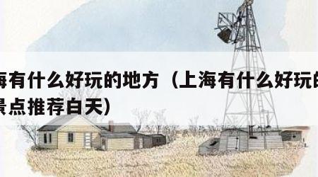 上海有什么好玩的地方（上海有什么好玩的地方景点推荐白天）