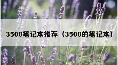 3500笔记本推荐（3500的笔记本）