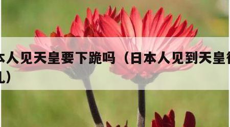 日本人见天皇要下跪吗（日本人见到天皇行什么礼）