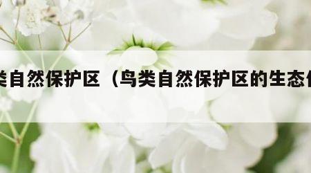 鸟类自然保护区（鸟类自然保护区的生态价值）
