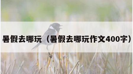暑假去哪玩（暑假去哪玩作文400字）
