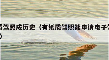 纸质驾照成历史（有纸质驾照能申请电子驾照吗?）