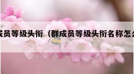 群成员等级头衔（群成员等级头衔名称怎么改）