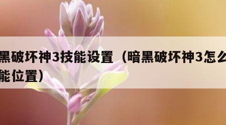 暗黑破坏神3技能设置（暗黑破坏神3怎么调技能位置）