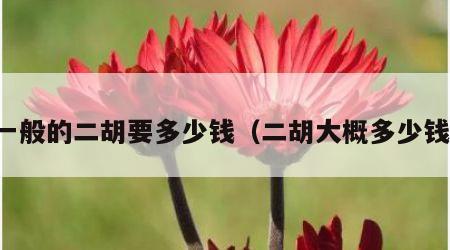 一般的二胡要多少钱（二胡大概多少钱）
