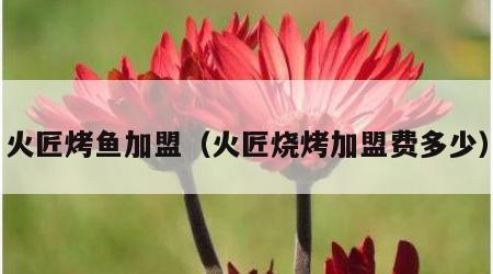 火匠烤鱼加盟（火匠烧烤加盟费多少）