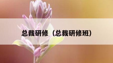 总裁研修（总裁研修班）