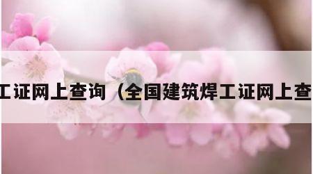 焊工证网上查询（全国建筑焊工证网上查询）