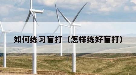 如何练习盲打（怎样练好盲打）