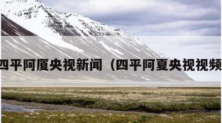 四平阿厦央视新闻（四平阿夏央视视频）