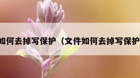 如何去掉写保护（文件如何去掉写保护）