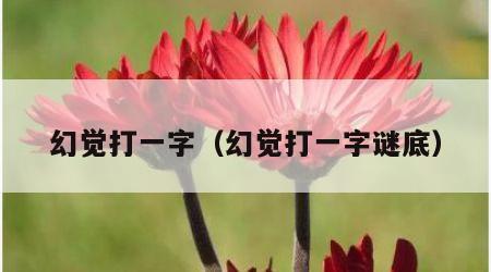 幻觉打一字（幻觉打一字谜底）