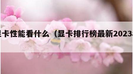 显卡性能看什么（显卡排行榜最新2023年）