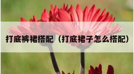 打底裤裙搭配（打底裙子怎么搭配）