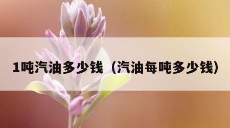 1吨汽油多少钱（汽油每吨多少钱）
