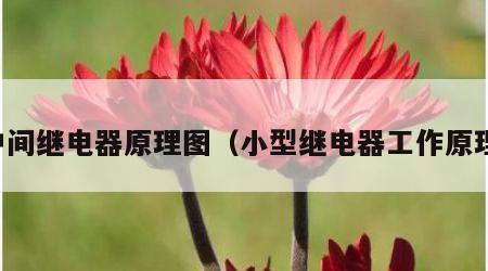 中间继电器原理图（小型继电器工作原理）