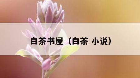 白茶书屋（白茶 小说）