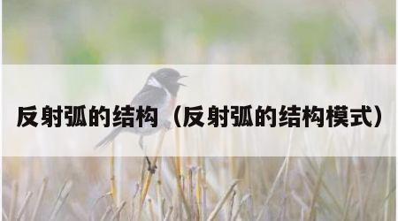 反射弧的结构（反射弧的结构模式）