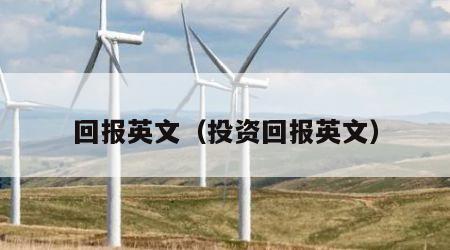 回报英文（投资回报英文）