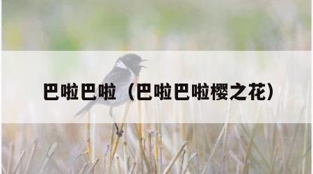 巴啦巴啦（巴啦巴啦樱之花）
