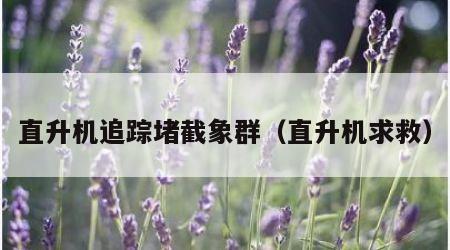 直升机追踪堵截象群（直升机求救）