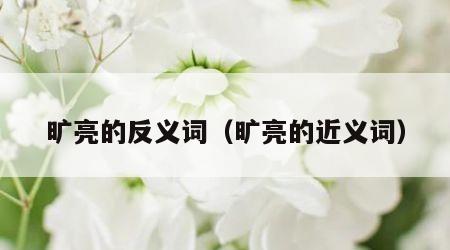 旷亮的反义词（旷亮的近义词）
