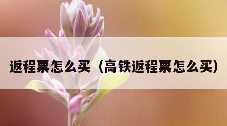 返程票怎么买（高铁返程票怎么买）