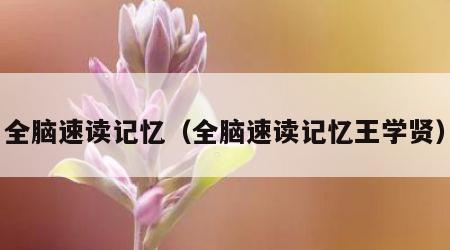 全脑速读记忆（全脑速读记忆王学贤）