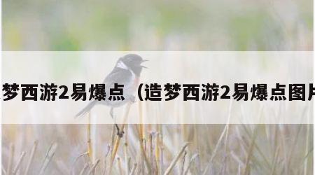 造梦西游2易爆点（造梦西游2易爆点图片）