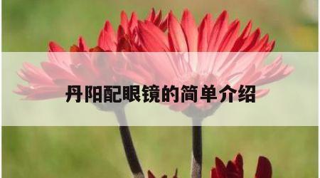 丹阳配眼镜的简单介绍