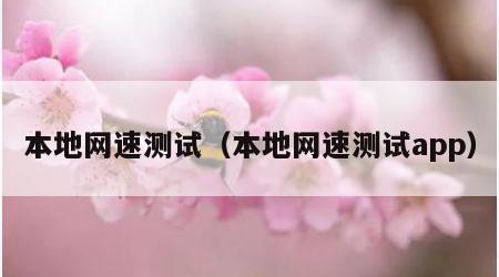 本地网速测试（本地网速测试app）