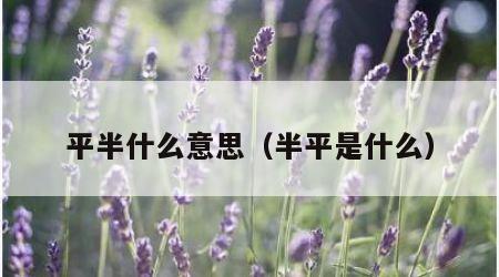 平半什么意思（半平是什么）
