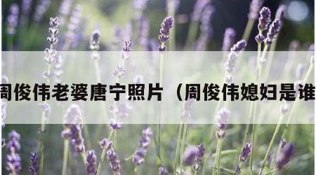 周俊伟老婆唐宁照片（周俊伟媳妇是谁）