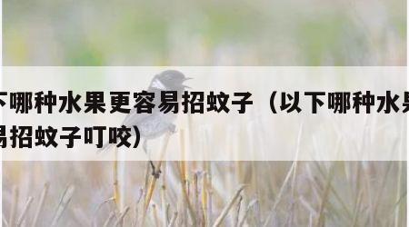 以下哪种水果更容易招蚊子（以下哪种水果更容易招蚊子叮咬）