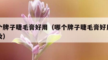 哪个牌子睫毛膏好用（哪个牌子睫毛膏好用不晕妆）